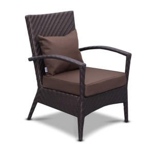 Фото кресла "Амберес Лаунж", вид спереди, 45 гр, черное дерево